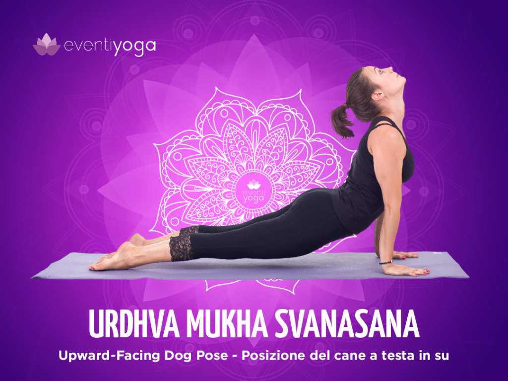 Urdhva Mukha Svanasana
