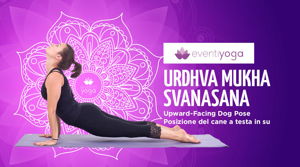 Urdhva Mukha Svanasana