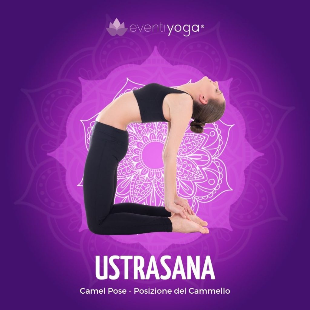 Ustrasana