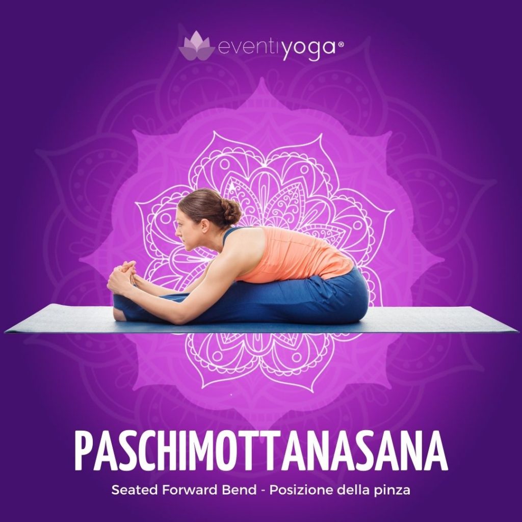 Pashimottanasana