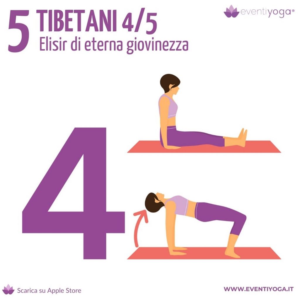 i 5 tibetani - Il quarto tibetano