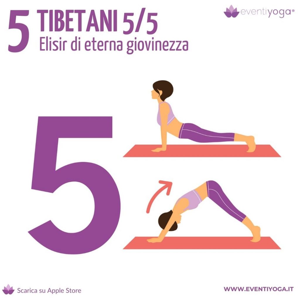 i 5 tibetani - Il quinto tibetano