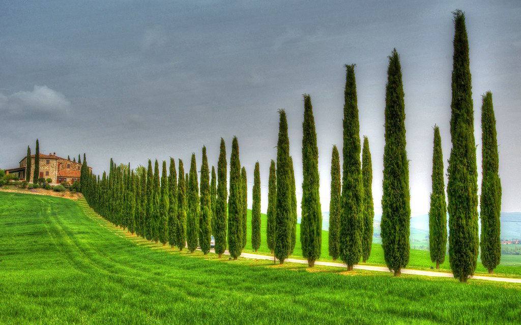 RETREAT GIUGNO TOSCANA 3