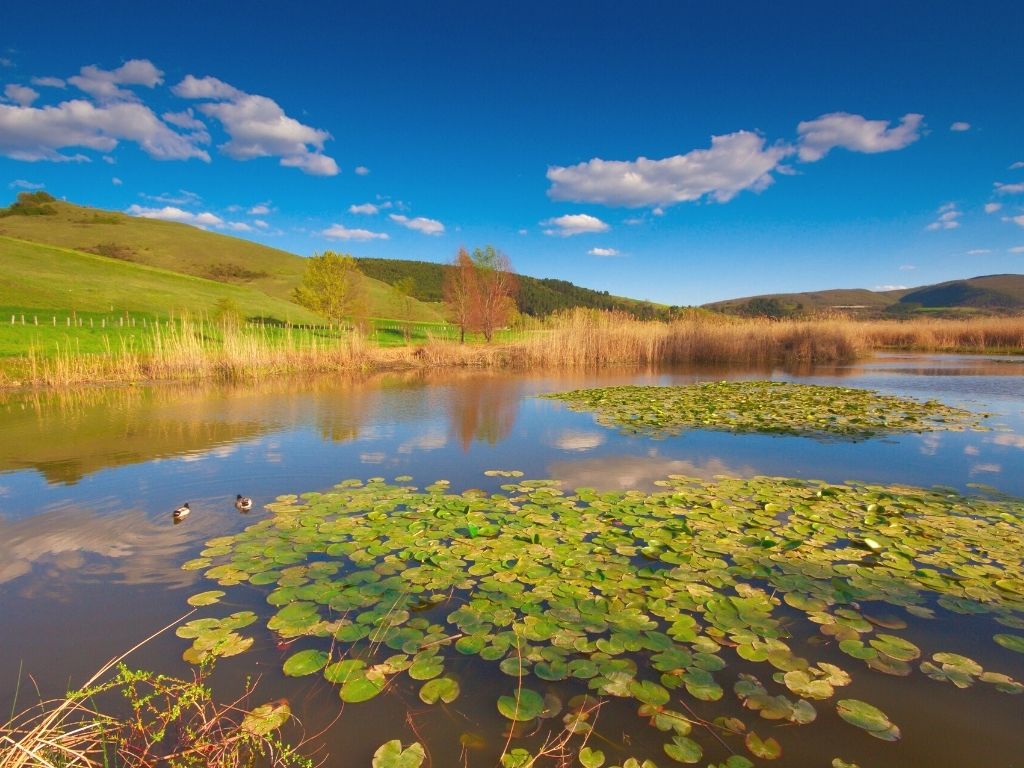 Vacanze Yoga in Umbria - Parco Colfiorito