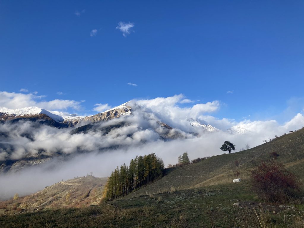 Vacanza Yoga in Piemonte - Laura Eynard